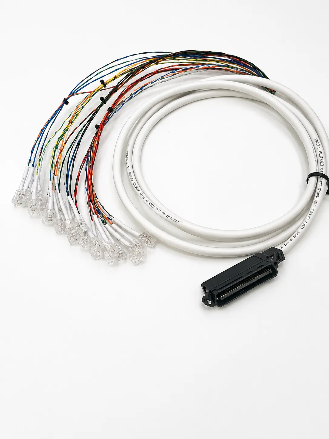 Cat3 RJ21 Telco female to 24 x RJ45 plugs