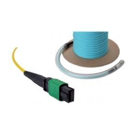 Excel OM4 24 Core MTP Trunk Cable, 50m