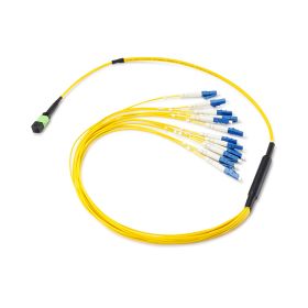 12way Fibre Harness 9/125 MPO/MTP Fan Out Cable