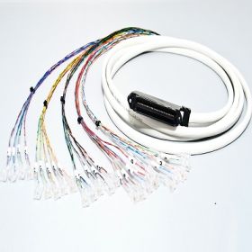 Cat3 RJ21 Telco Male to 24 x RJ45 plugs