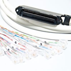 Telco Rj21 - 24 rj45 plugs